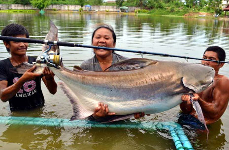 chao phraya catfish worlld record.jpg